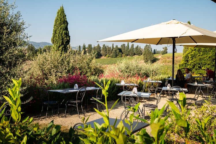 Esterni Agriturismo Mormoraia San Gimignano 012