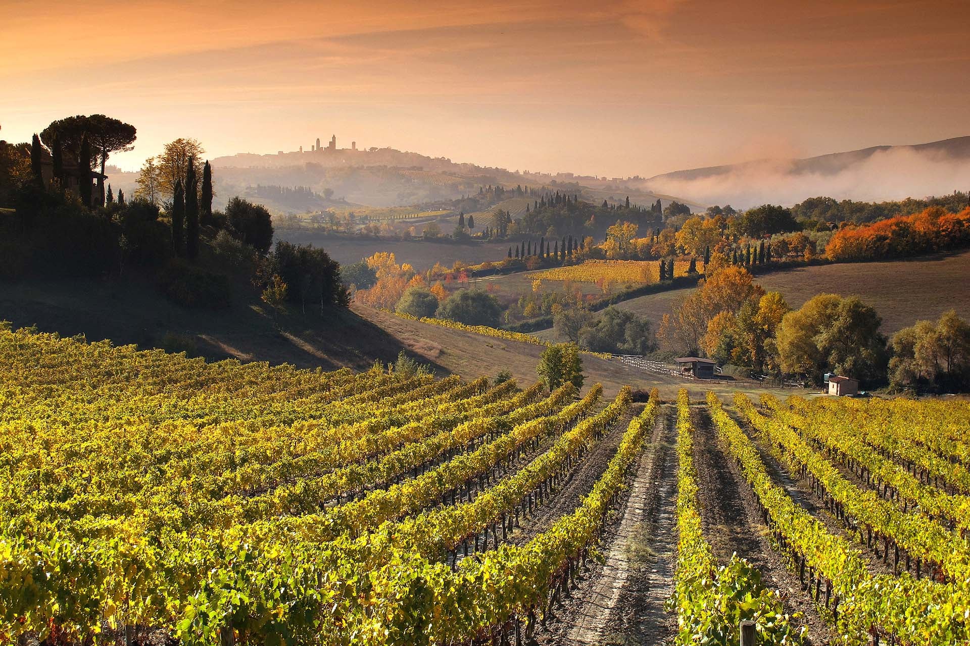 Esterni Agriturismo Mormoraia San Gimignano 03