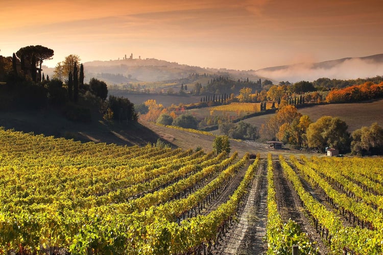 Esterni Agriturismo Mormoraia San Gimignano 03