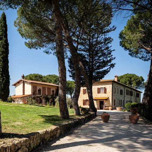 Storia Gallery Agriturismo Mormoraia San Gimignano 03