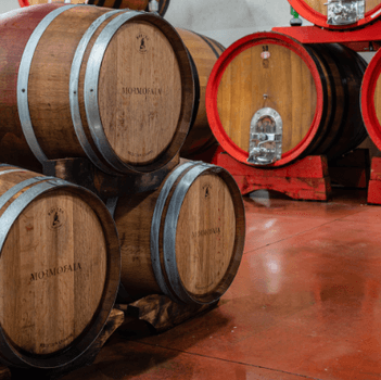 Agriturismo Mormoraia Cantina Gallery 03