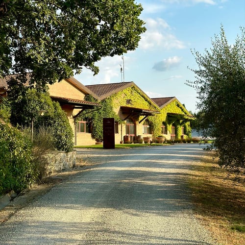 Cantina Gallery Agriturismo Mormoraia San Gimignano 05